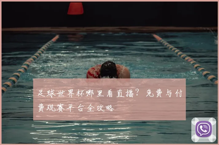 足球世界杯哪里看直播?免费与付费观赛平台全攻略