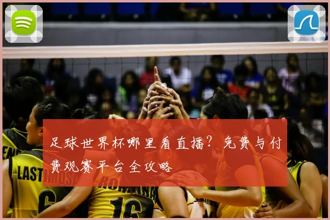 足球世界杯哪里看直播?免费与付费观赛平台全攻略